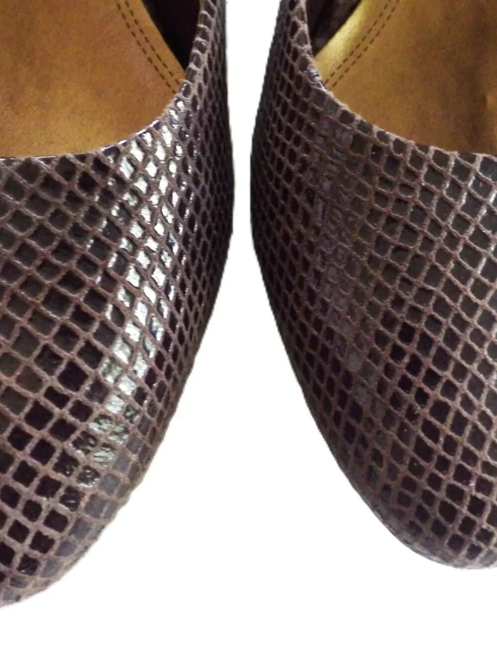 Trotters Janna Mocha Snake Low Heel Pump/ Size 9N
